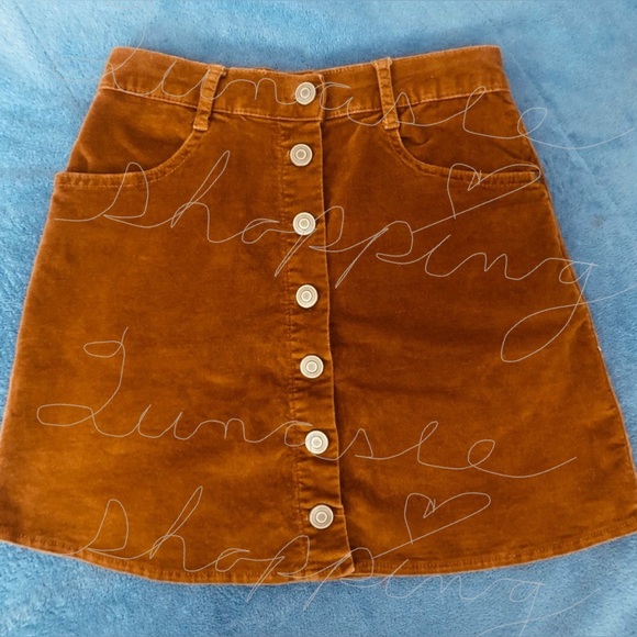 Brandy Melville Skirt; same brand ASO Taylor Swift - Picture 16 of 16